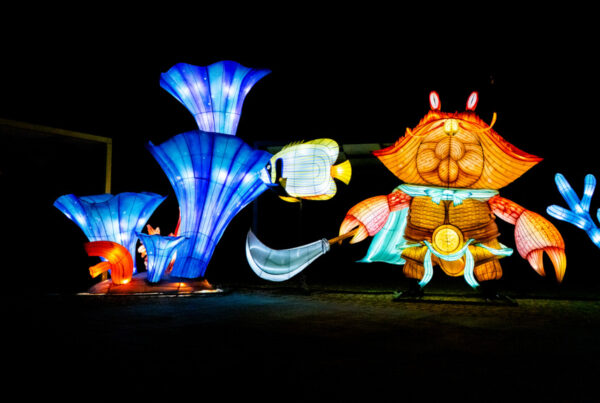 Elegant Peacock Lantern (孔雀开屏灯)